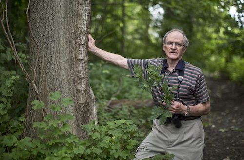 Monty McDonald, a friend of Leslie Miller, one of the young people Leslie
mentored, beside one of the “Vimy Oaks” still standing one hundred years
later on the grounds of the Scarborough Chinese Baptist Church.