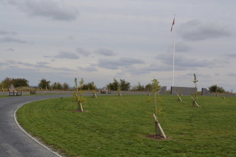 View of Planted, Wind-Staked Vimy Trees at TVF Centennial Park, July 2019.